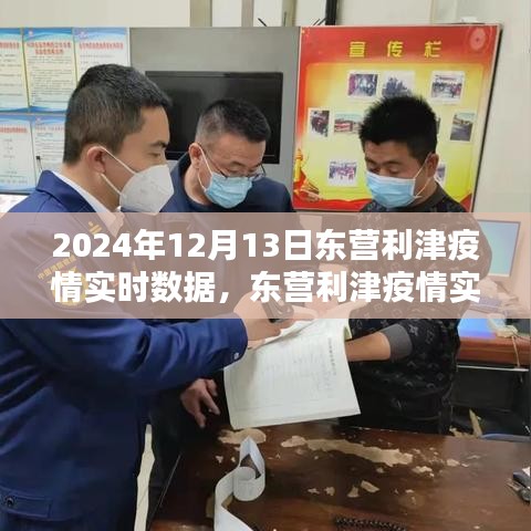 2024年12月13日東營利津疫情實時數據與查詢指南(初學者與進階用戶適用)