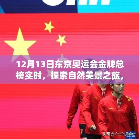 東京奧運會金牌總榜下的心靈洗禮與自我發(fā)現(xiàn)之旅,自然美景的探索之旅(實時更新)