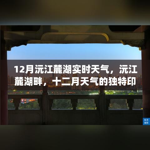 沅江麓湖十二月實時天氣,獨特印記的冬季氣候