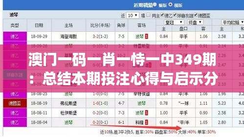 澳門一碼一肖一恃一中349期:總結(jié)本期投注心得與啟示分享