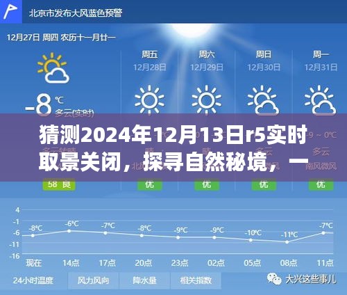 未來綠色冒險之旅,探尋自然秘境與R5實時取景關閉的啟示,2024年12月13日紀事