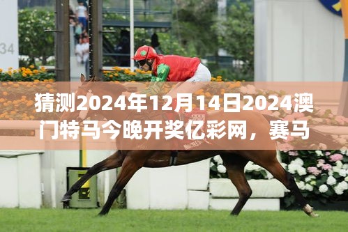 猜測2024年12月14日2024澳門特馬今晚開獎億彩網,賽馬概率游戲的冒險之旅