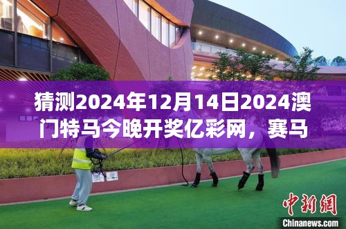 猜測2024年12月14日2024澳門特馬今晚開獎億彩網，賽馬概率游戲的冒險之旅