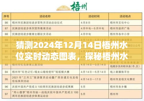 梧州水位實時動態圖表預測與特色小店探秘之旅,探秘梧州水位之謎與隱藏小巷的特色美食體驗