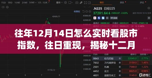 揭秘十二月十四日股市指數的實時觀察之旅，歷史數據與當日重現分析