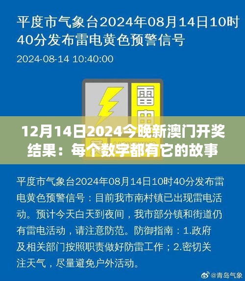 12月14日2024今晚新澳門開獎結果:每個數字都有它的故事,新澳門開獎夜,幸運屬于誰?
