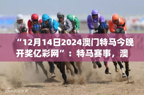 “12月14日2024澳門特馬今晚開獎億彩網”：特馬賽事，澳門的驕傲