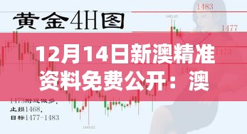 12月14日新澳精準(zhǔn)資料免費(fèi)公開:澳新的商業(yè)機(jī)遇一手掌握