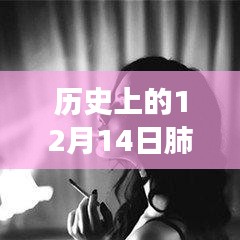 歷史上的十二月十四日，肺炎動態壁紙與動漫壁紙店的探秘之旅