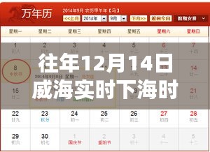 威海暖陽海灣奇遇，12月14日下海時間表揭秘