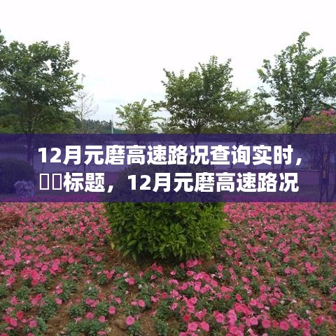 12月元磨高速路況實時更新，與自然美景共舞的心靈寧靜之旅。
