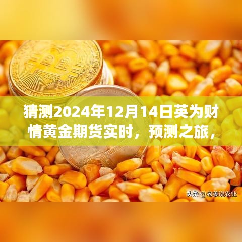 解讀英為財情黃金期貨市場展望,預測黃金期貨未來走勢,探尋黃金市場趨勢——聚焦2024年12月14日實時動態(tài)分析之旅
