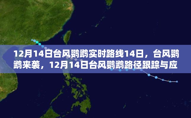 臺風鸚鵡來襲,應對指南與實時路徑跟蹤(初學者與進階用戶版)