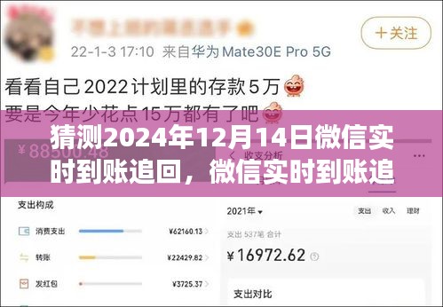 微信實時到賬追回功能展望,預測至2024年12月14日的演變與功能分析(附個人觀點)