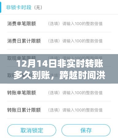 非實(shí)時(shí)轉(zhuǎn)賬的智慧，到賬時(shí)間解析與成就感的誕生