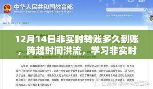 非實時轉賬的智慧,到賬時間解析與成就感的誕生