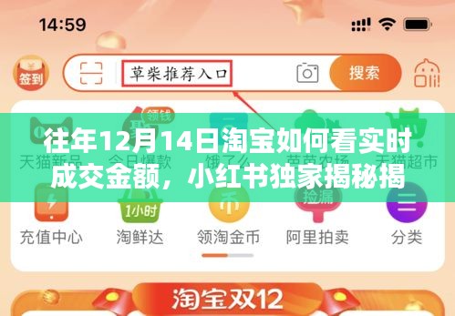 小紅書獨家揭秘,洞悉淘寶往年12月14日實時成交金額背后的秘密與商機!