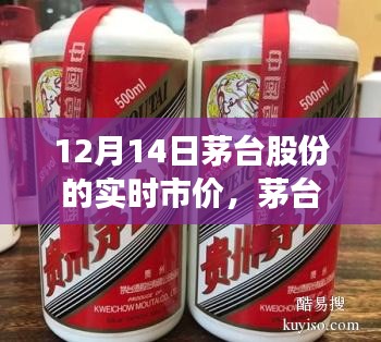 茅臺股份實時市價與心靈平和之旅，與自然美景的邂逅