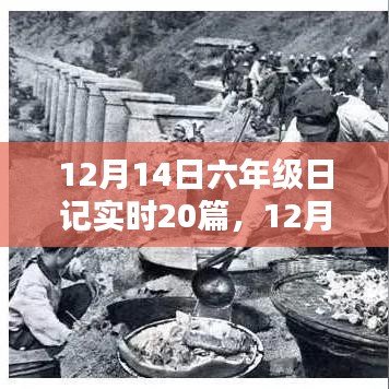 12月14日六年級生活紀實,精彩瞬間回顧與日記實錄