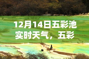 五彩池畔冬日暖陽,12月14日實時天氣報告