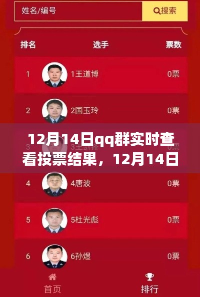 12月14日QQ群實時投票結果查看功能深度評測與介紹