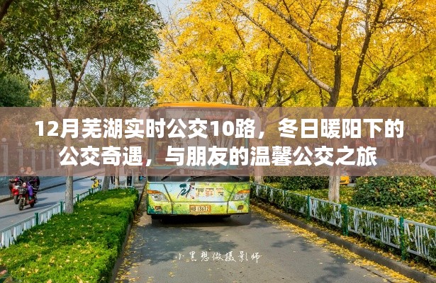 冬日暖陽下的溫馨公交之旅，蕪湖實時公交10路之旅