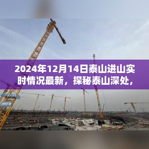 探秘泰山深處，小巷特色小店與最新進山實時情況揭秘