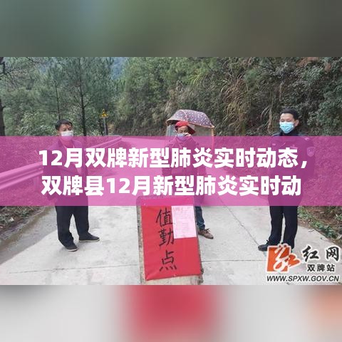 雙牌縣十二月新型肺炎實時動態概覽,背景、進展與影響分析