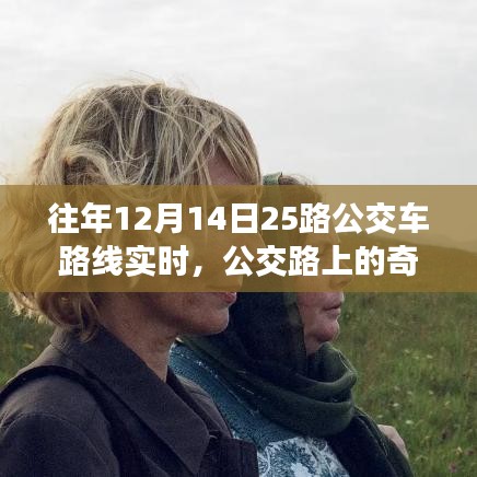 十二月十五日公交之旅,路上的奇遇與溫情紐帶紀實