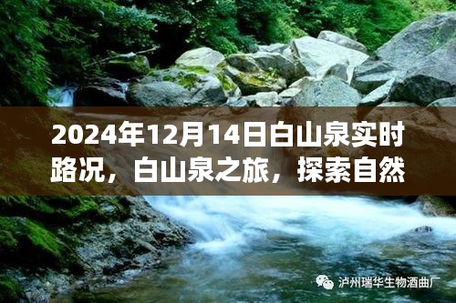 白山泉之旅，探索自然美景，實時路況更新與內心平靜的追尋