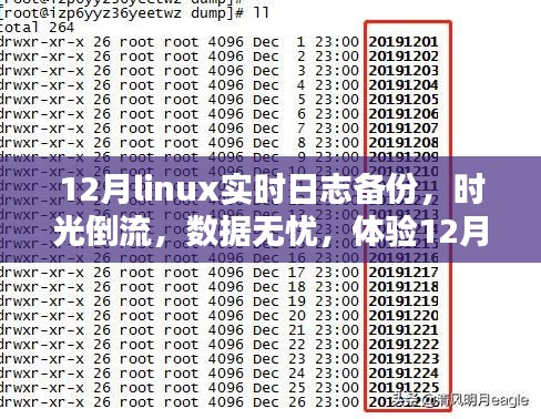 體驗(yàn)Linux實(shí)時(shí)日志備份前沿科技魅力，時(shí)光倒流無(wú)憂(yōu)數(shù)據(jù)保障在十二月