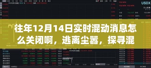 逃離塵囂之旅,探尋混動之美與關(guān)閉實時混動消息指南