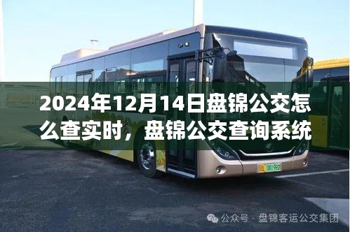 2024年盤錦公交查詢系統升級實時功能深度評測與指南