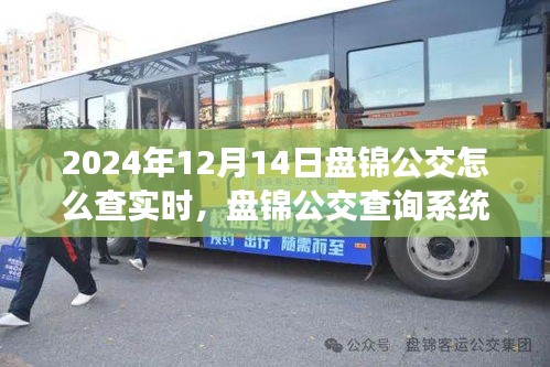 2024年盤錦公交查詢系統升級實時功能深度評測與指南