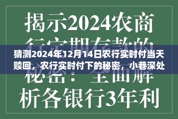 農(nóng)行實時付,揭秘特色贖回與小巷深處的秘密小店探秘