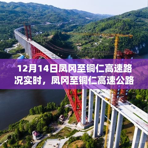 鳳岡至銅仁高速路況實時評測，特性深度剖析、體驗分享與目標用戶群體分析