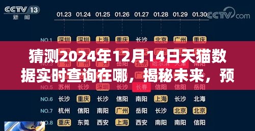 揭秘未來趨勢，預測天貓數據實時查詢新動態，探尋2024年天貓數據實時查詢位置及發展趨勢。