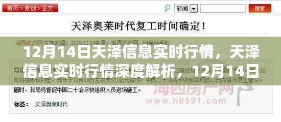 天澤信息實時行情解析，深度剖析與特殊篇章（12月14日）