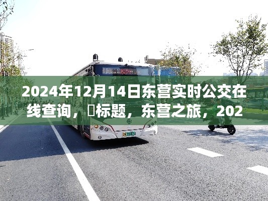 東營公交實時查詢系統,探尋心靈靜謐角落的公交之旅