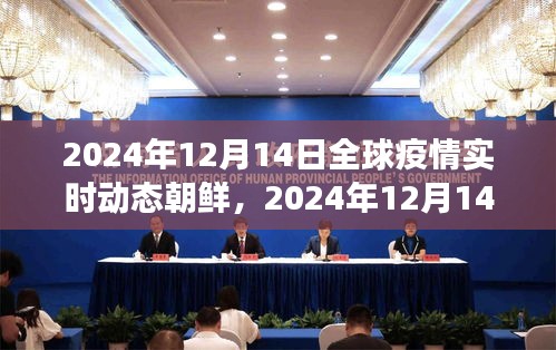聚焦朝鮮,全球疫情實時動態與防控進展、挑戰及未來展望