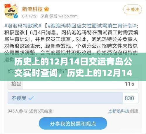 歷史上的12月14日,青島公交實時查詢系統的變遷與影響