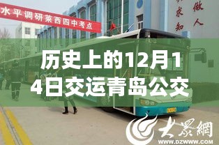 歷史上的12月14日,青島公交實(shí)時(shí)查詢(xún)系統(tǒng)的變遷與影響