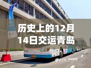 歷史上的12月14日,青島公交實(shí)時(shí)查詢(xún)系統(tǒng)的變遷與影響
