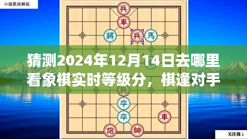 象棋等級分的奇妙旅程,棋逢對手,情暖人心,預測2024年象棋實時等級分揭曉地點。