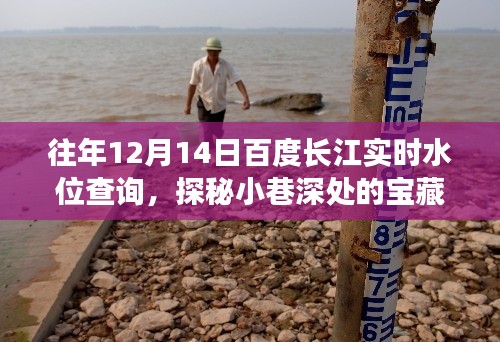 百度長江水位查詢背后的秘密,小巷寶藏與實時水位數據探秘