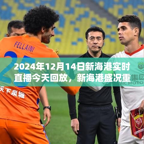 2024年12月14日新海港盛況重現,實時直播日回顧與回放