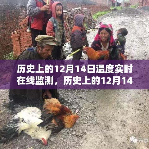 歷史上的十二月十四日溫度實時在線監測的全面評測與監測分析