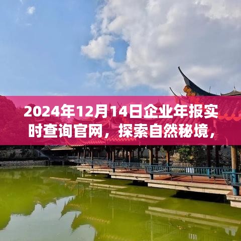 探索自然秘境，啟程尋找內心寧靜與平和，企業年報實時查詢官網，開啟您的2024年報查詢之旅
