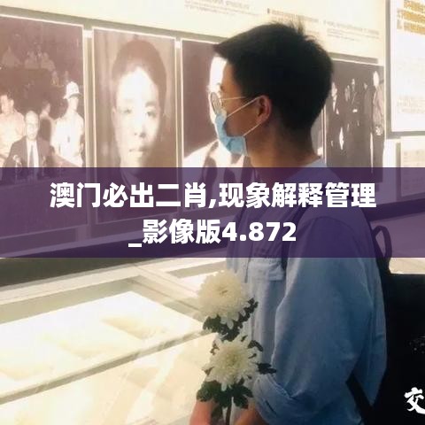 澳門必出二肖,現象解釋管理_影像版4.872