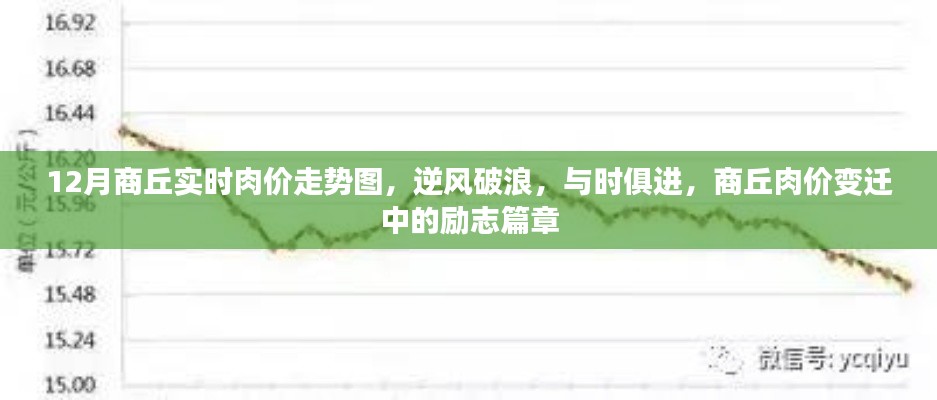商丘肉價變遷，逆風破浪的勵志篇章與實時走勢解析